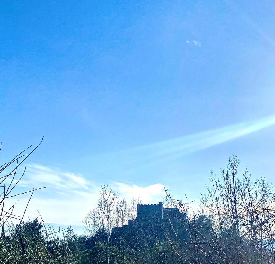 La Ginestra B&B 福斯迪诺沃 外观 照片