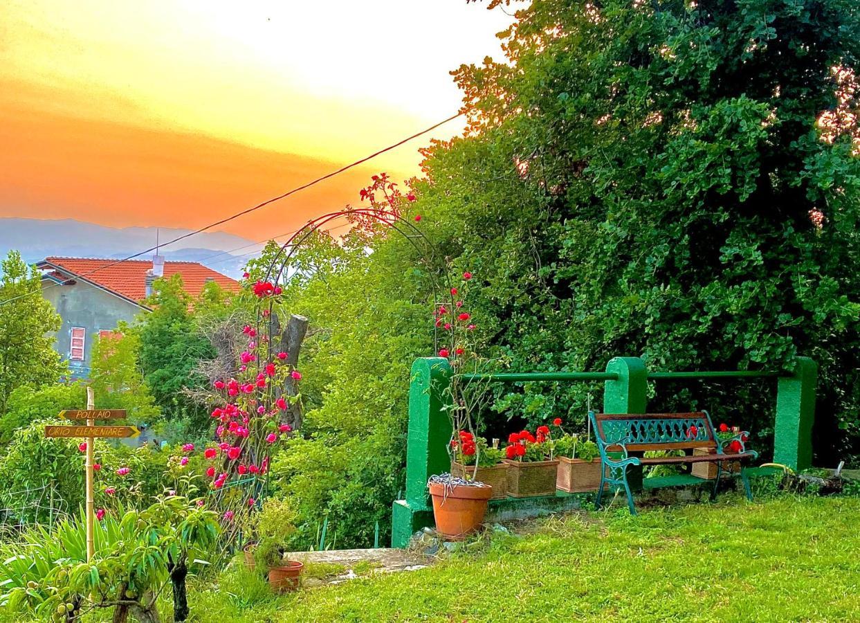 La Ginestra B&B 福斯迪诺沃 外观 照片