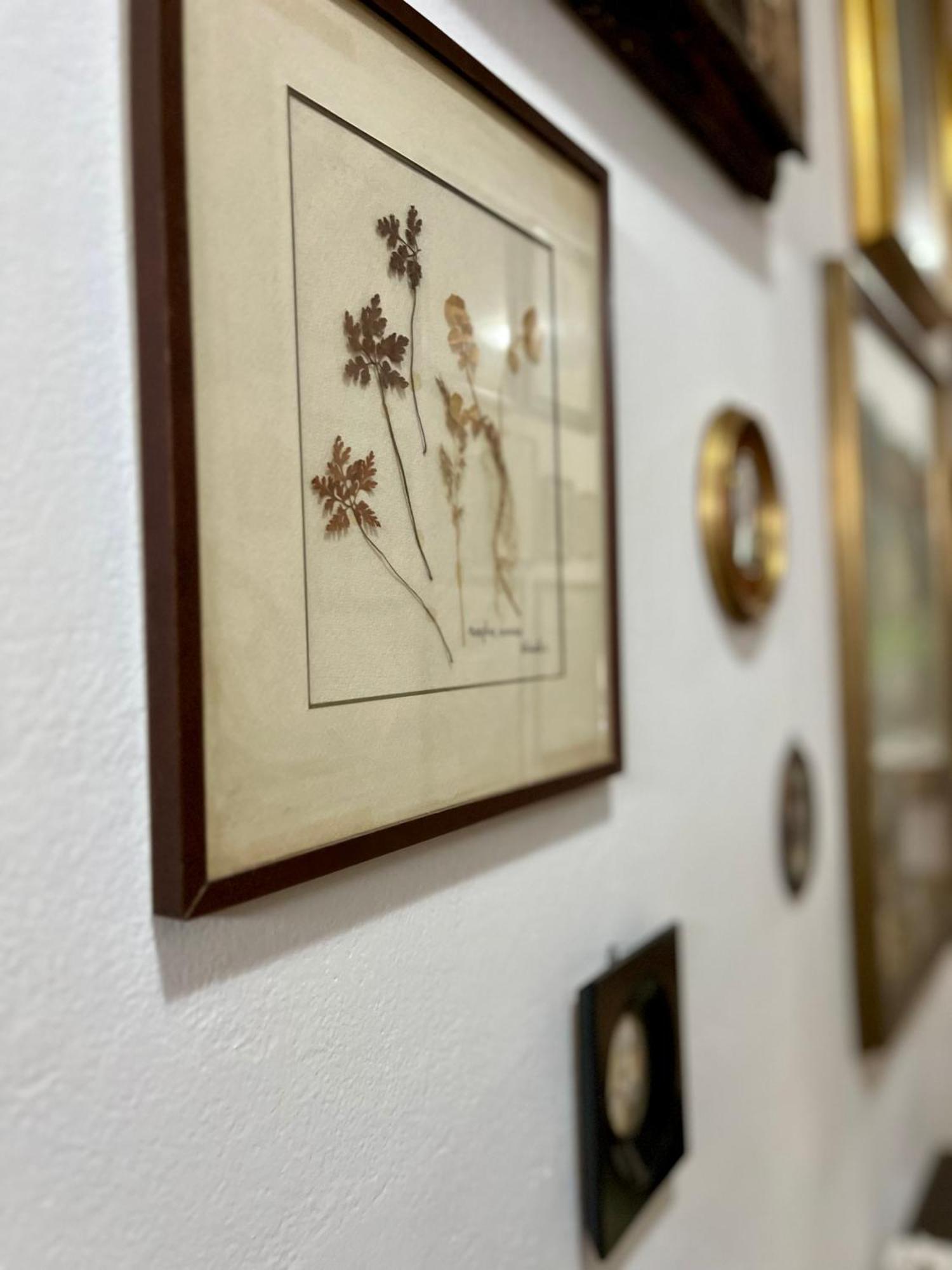 La Ginestra B&B 福斯迪诺沃 外观 照片